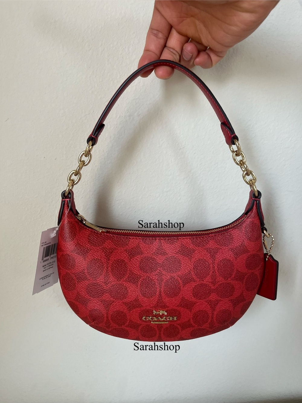 ✅Coach Mini Payton Hobo In Signature Canvas